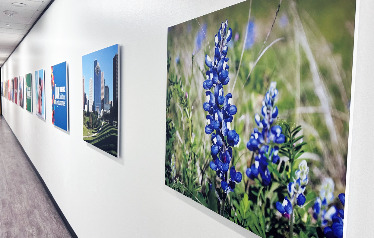 wide format printing poster display